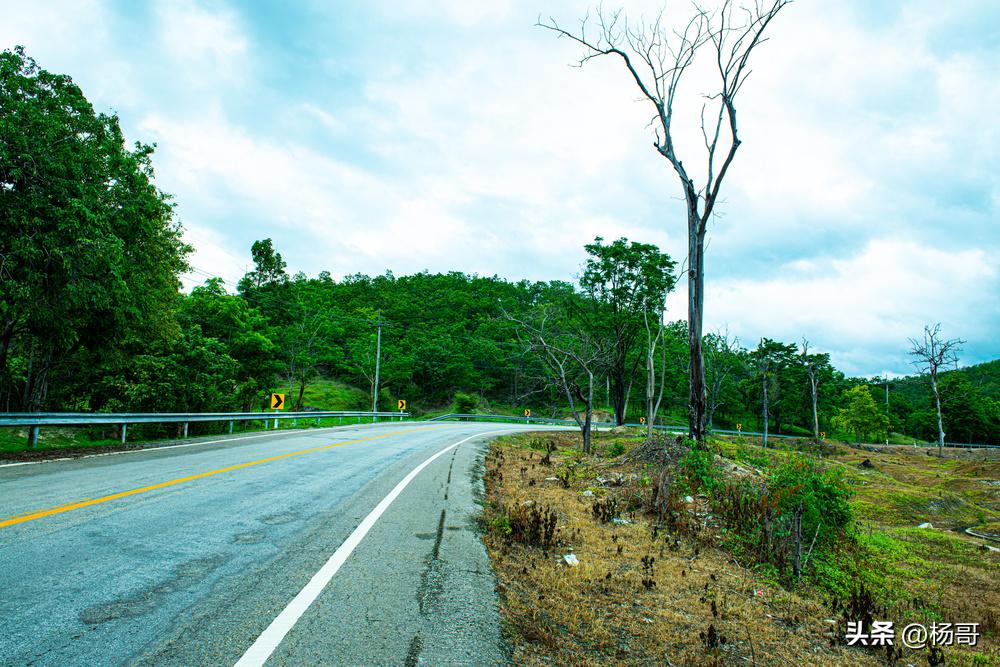 中国游客清迈水灯节遇险_泰国摩托车租赁安全风险_清迈