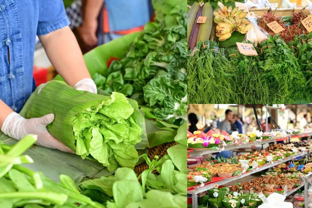 清迈_清迈户外英语亲子营活动_清迈亲子户外探险营