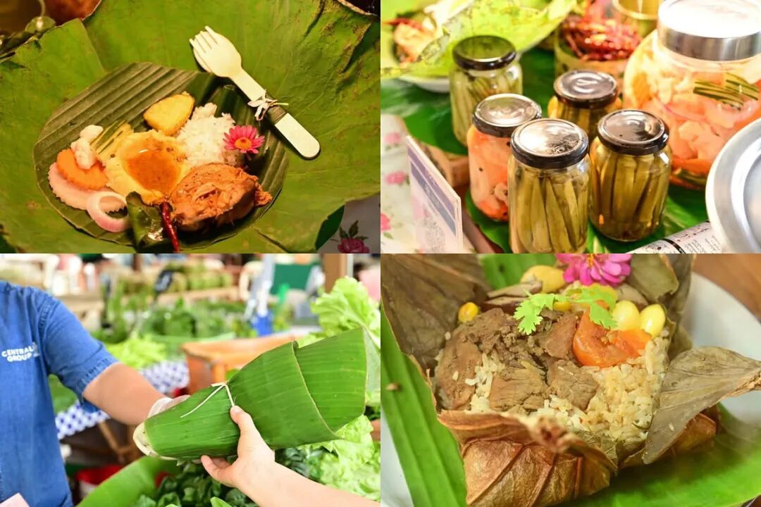 清迈_清迈亲子户外探险营_清迈户外英语亲子营活动