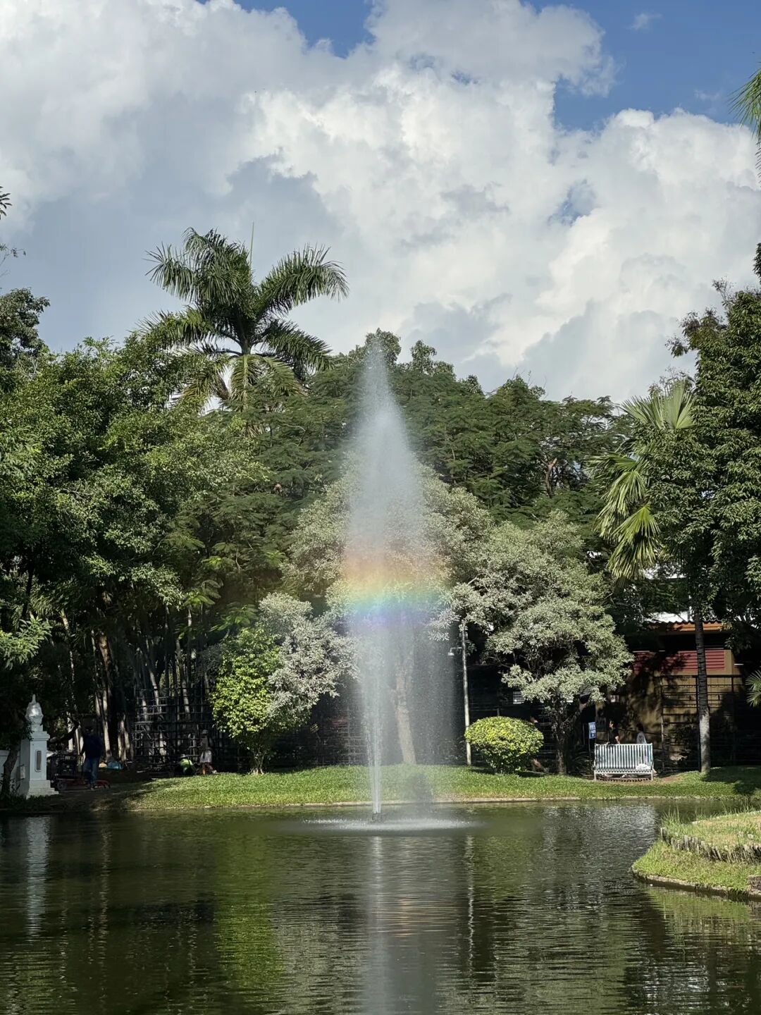 清迈_清迈旅居生活成本 租房价格 交通出行 清迈兴趣班活动