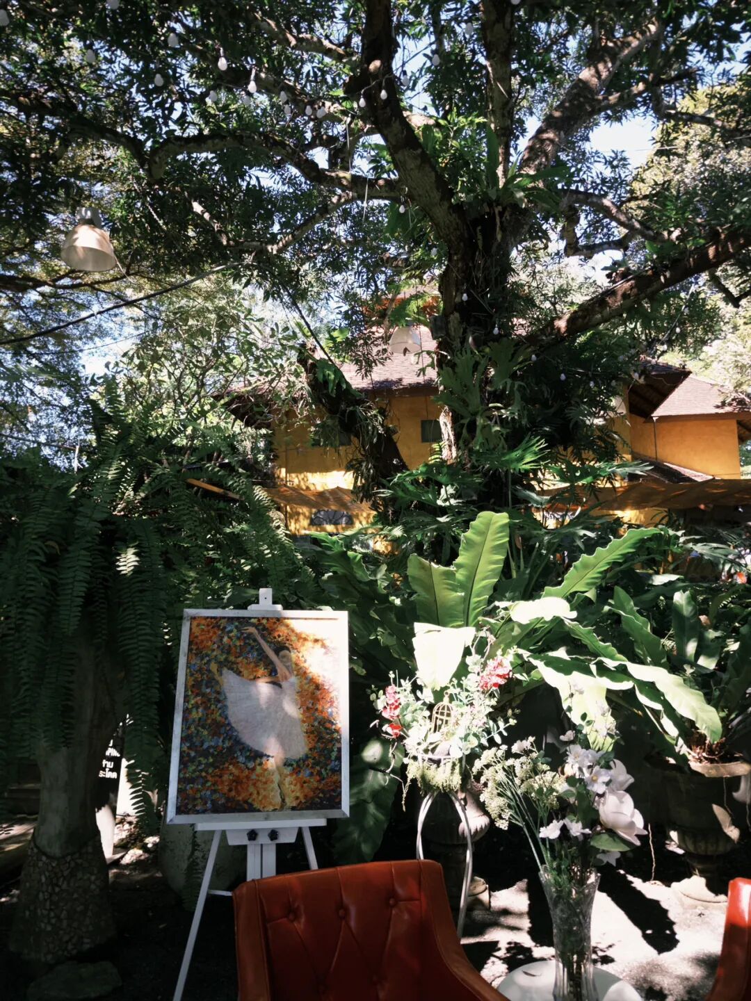 清迈_清迈旅居生活成本 租房价格 交通出行 清迈兴趣班活动