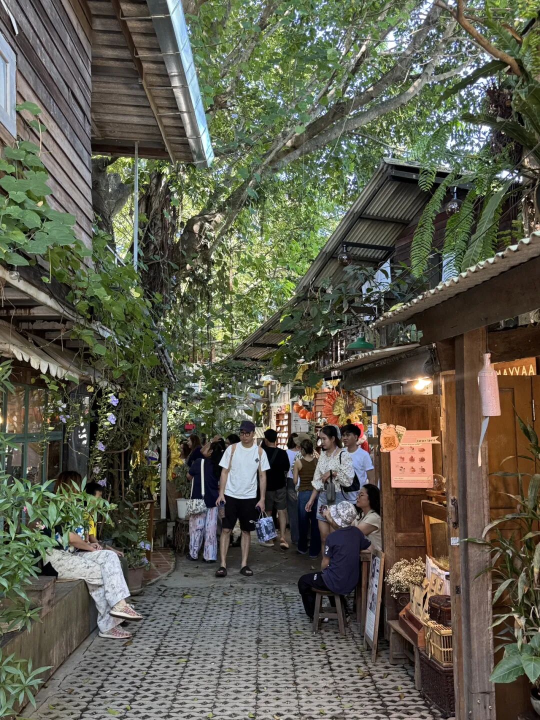 清迈_清迈旅居生活成本 租房价格 交通出行 清迈兴趣班活动