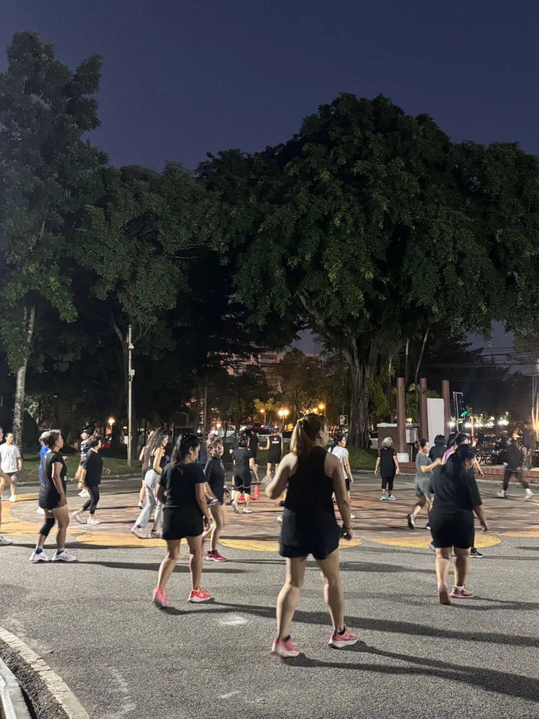 清迈_清迈旅居生活成本 租房价格 交通出行 清迈兴趣班活动