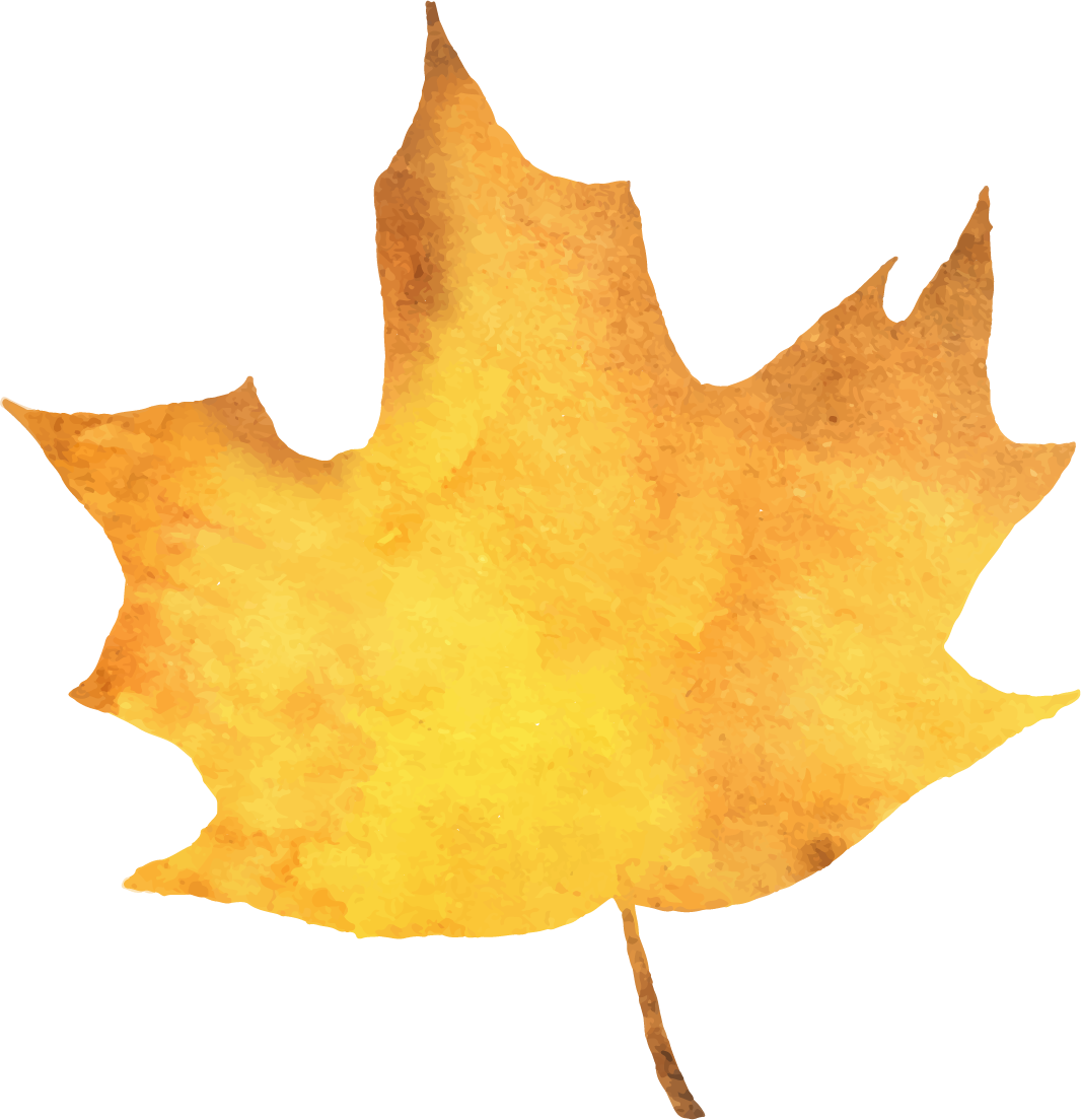 泰国_泰国寒冷季节旅游攻略_泰国冬季旅游最佳时间