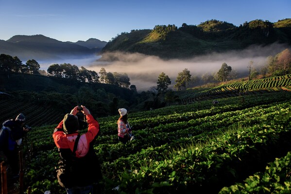 泰国旅游_泰国国家旅游局国际游客市场拓展计划_泰国旅游业年终旺季复苏