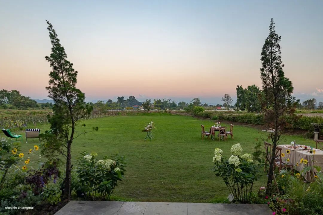 清迈_清迈花田拍照最佳地点_清迈I Love Flower Farm粉色花海