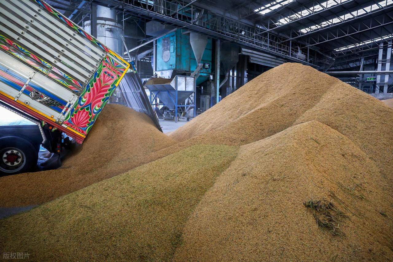 泰国大米进口 中国采购泰国稻米 中泰关系深化_泰国怎么买中国香烟