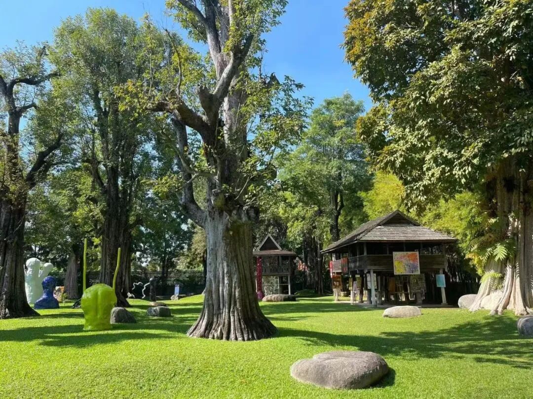 清迈11-12月活动_清迈花园集市2025_清迈