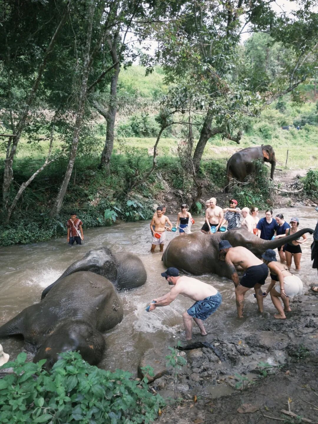 一期一会夏天_清迈_清迈旅行体验