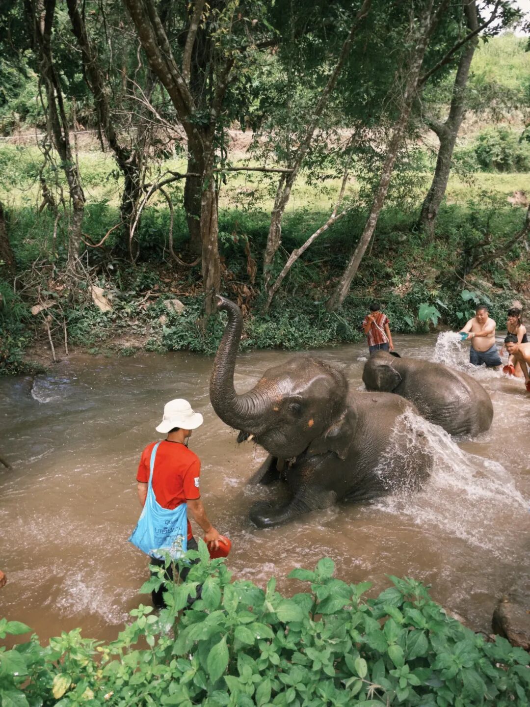 一期一会夏天_清迈_清迈旅行体验