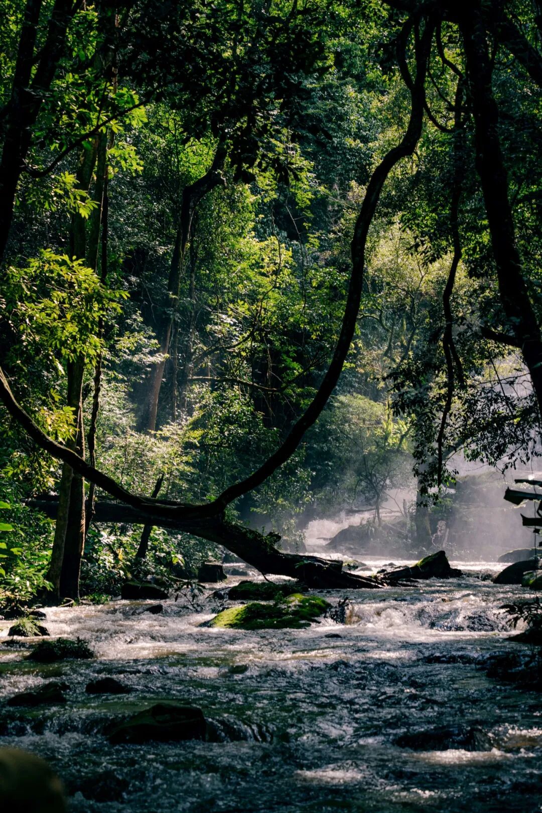 一期一会夏天_清迈_清迈旅行体验