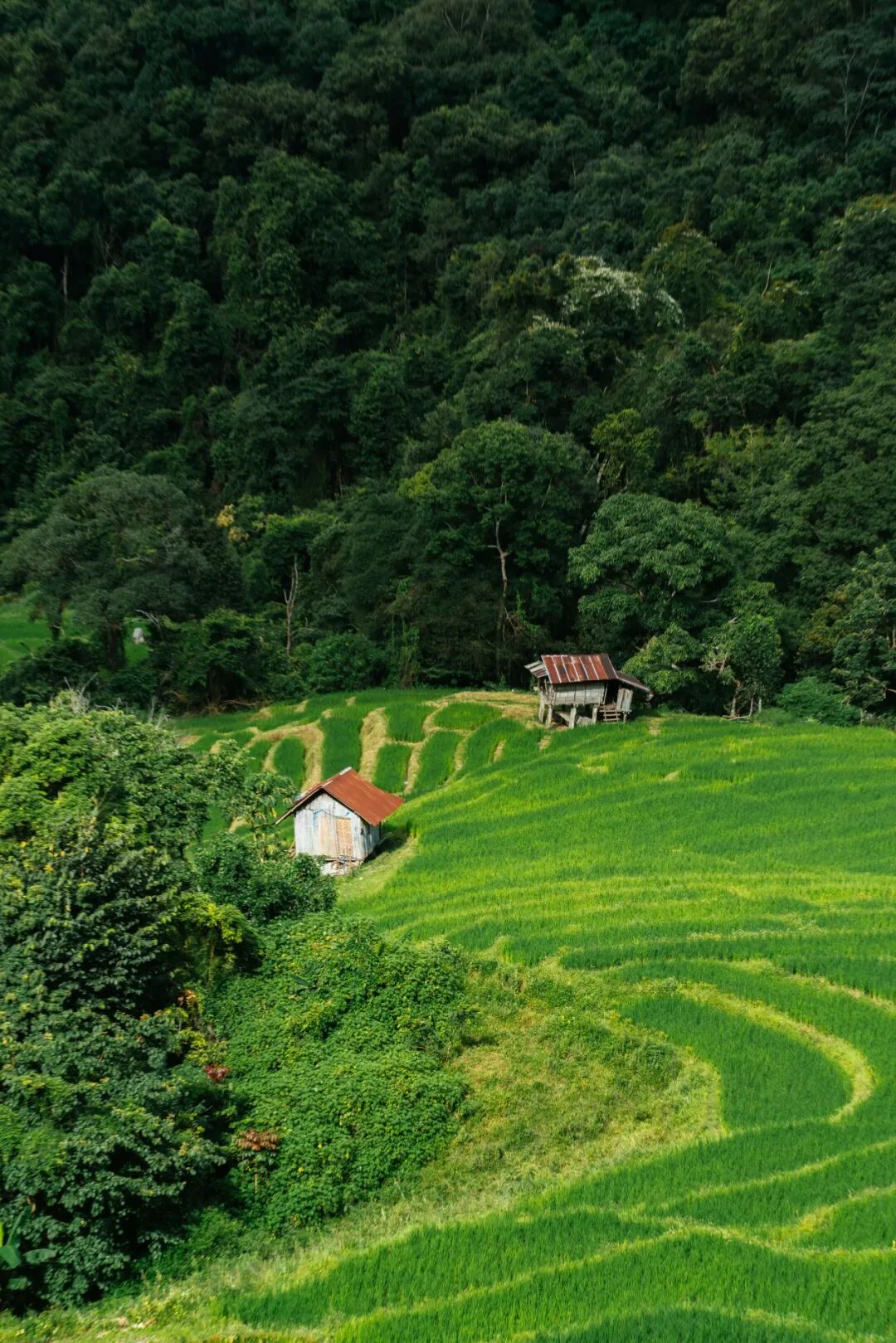 清迈旅行体验_一期一会夏天_清迈