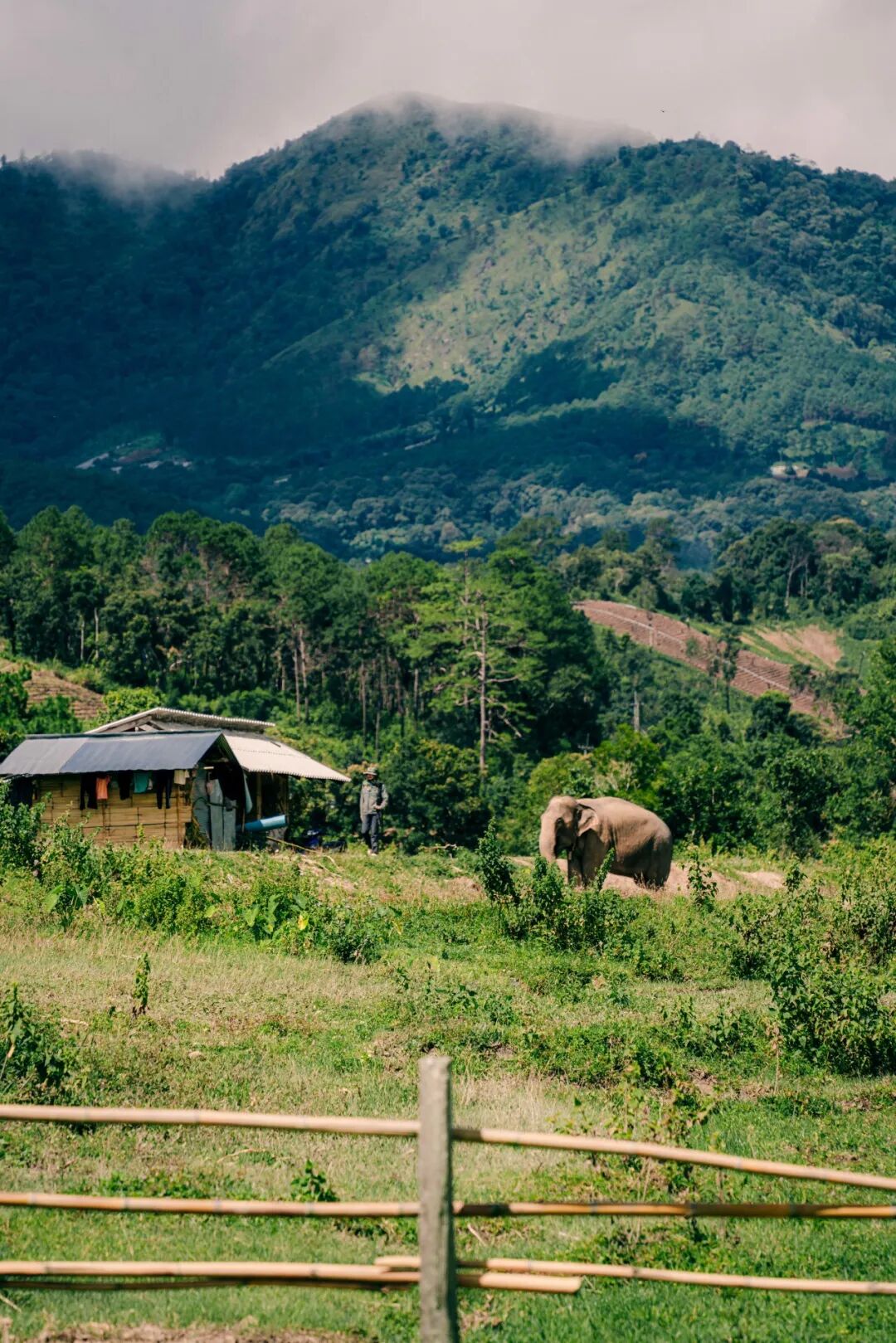 清迈旅行体验_一期一会夏天_清迈