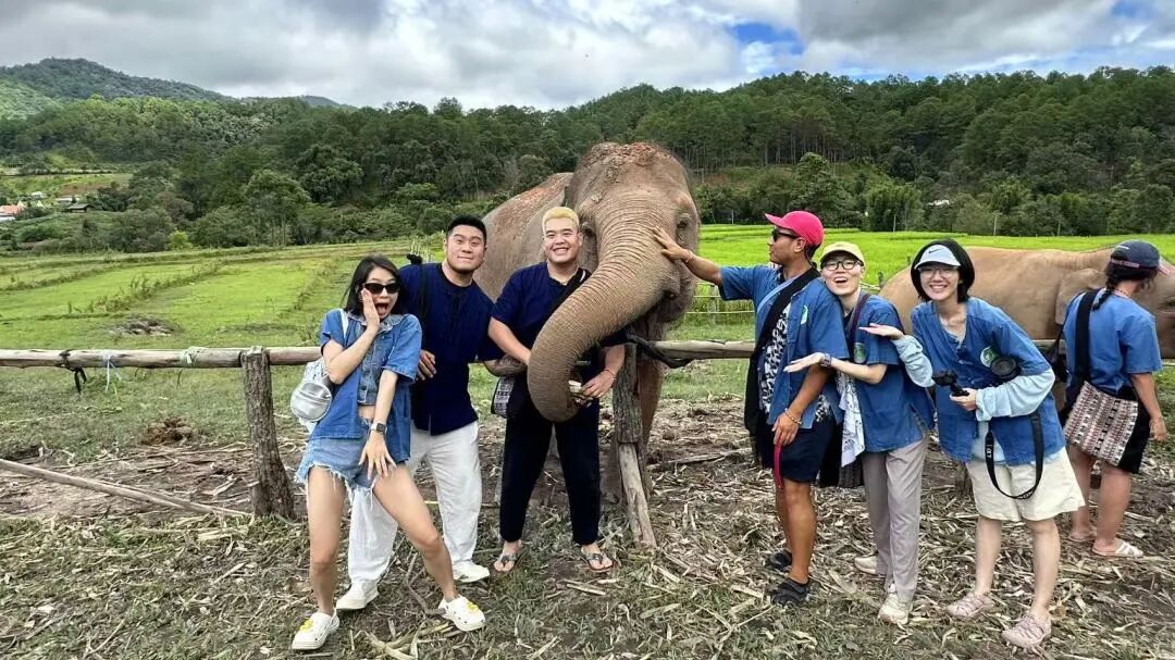 清迈旅行体验_一期一会夏天_清迈