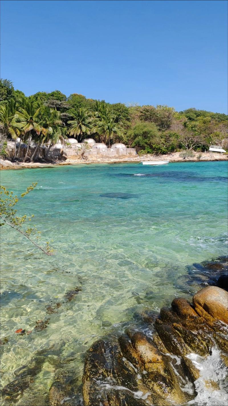 泰国_泰国国王访华_泰国转向中国