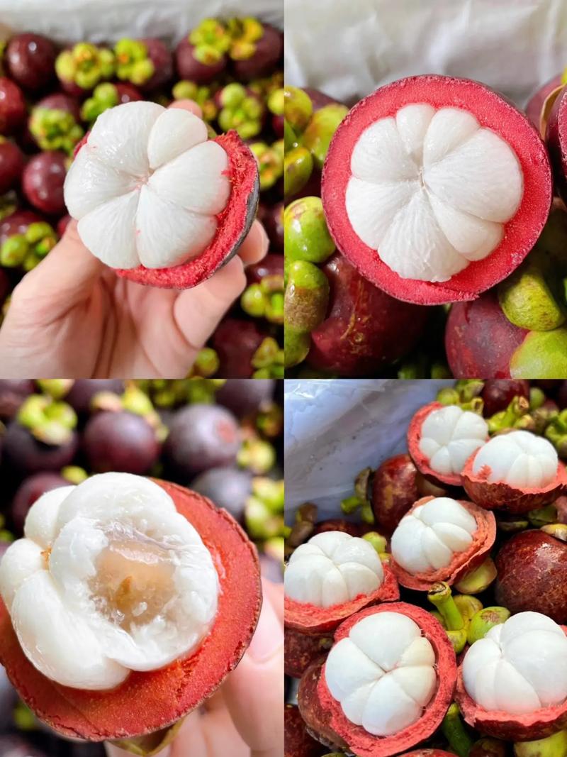 泰国转向中国_泰国_泰国国王访华