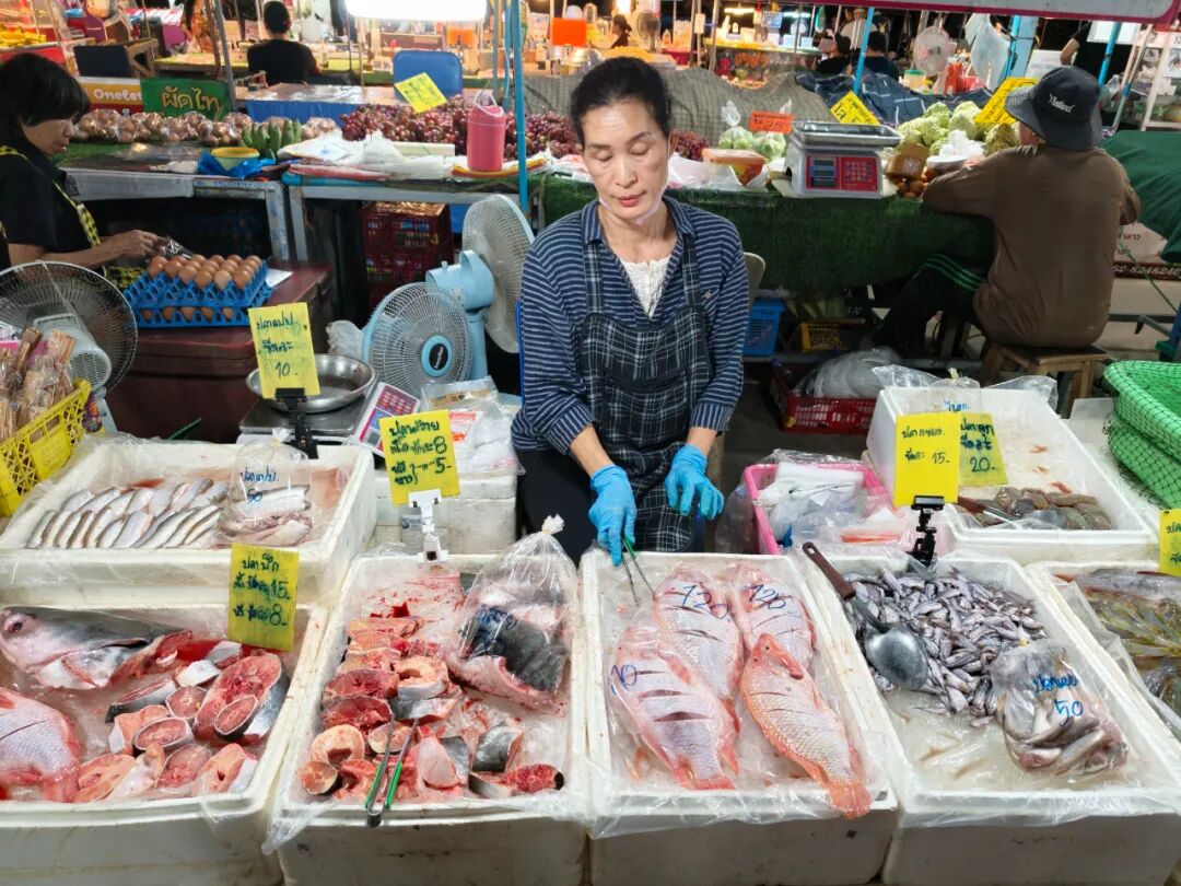 清迈泰北美食攻略_清迈街头小吃推荐_清迈