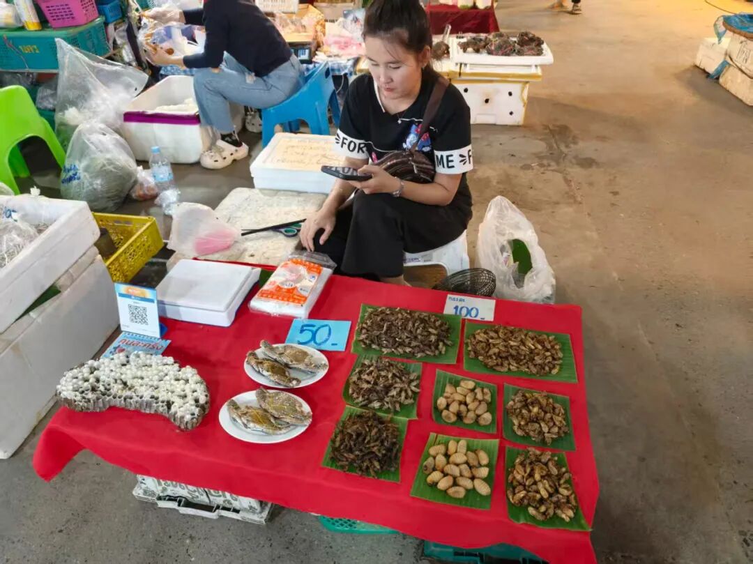 清迈泰北美食攻略_清迈街头小吃推荐_清迈