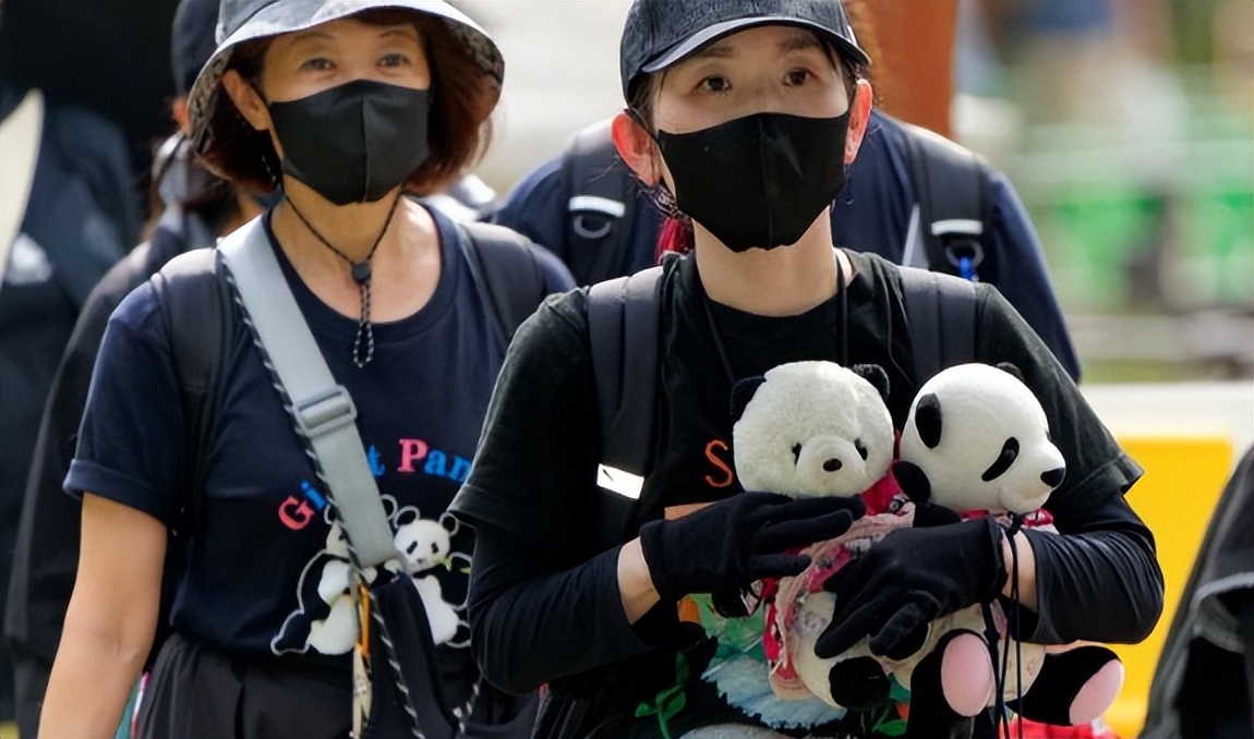 泰国熊猫超市_大熊猫国宝经济产业链_日本最后两只熊猫回国