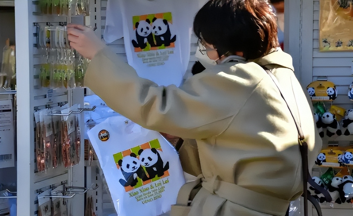 日本最后两只熊猫回国_大熊猫国宝经济产业链_泰国熊猫超市