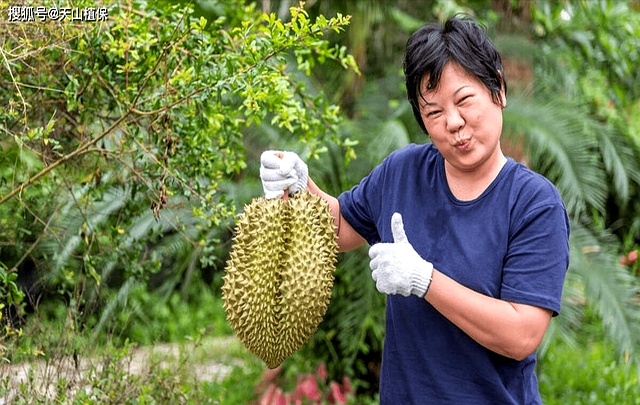 泰国中国零食_中国游客泰国榴莲体验_泰国榴莲价格歧视