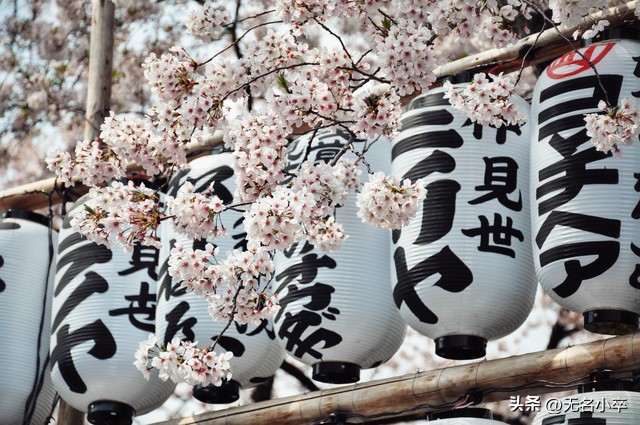 日本旅游不推荐原因_出国旅行推荐_泰国旅游