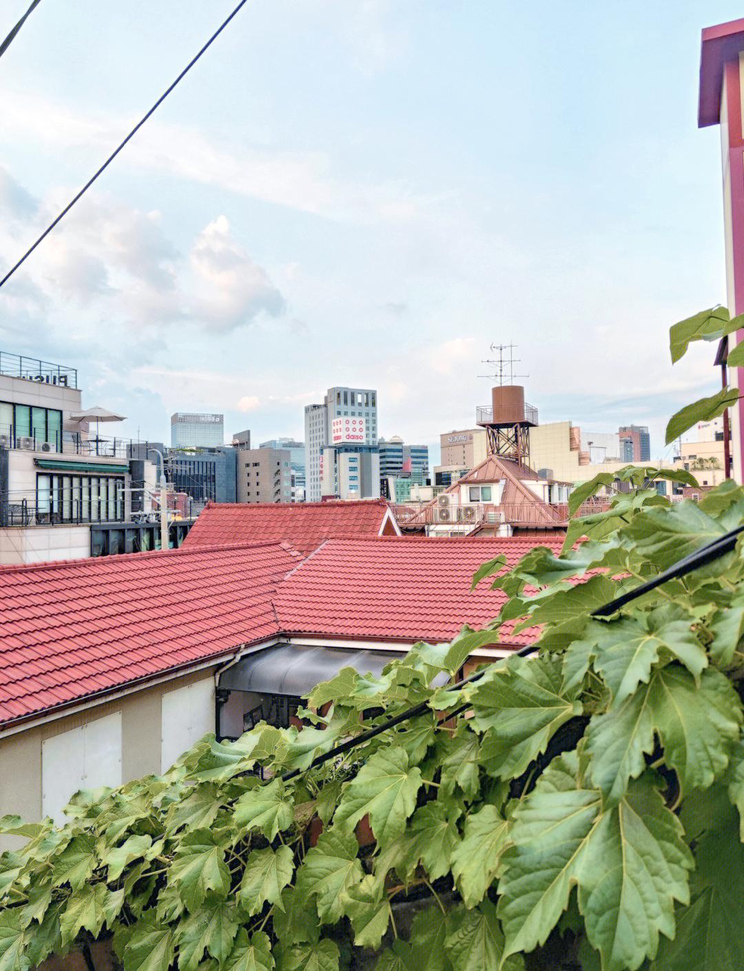 赴日旅游取消 泰国接住中国游客_俄罗斯免签政策 中国游客俄罗斯旅游_泰国旅游